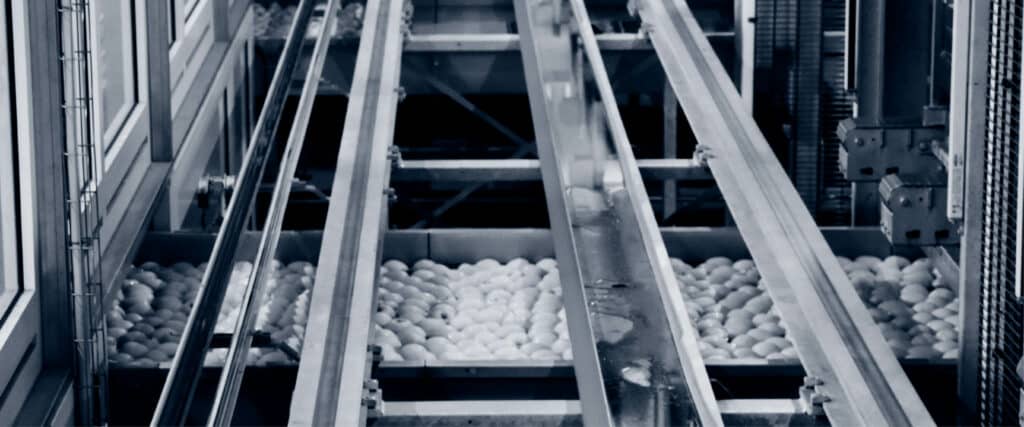 La numérisation simplifie largement le processus d’audit