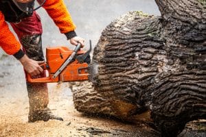 stihl opc router case