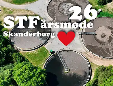 STF 2026